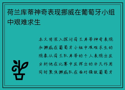 荷兰库蒂神奇表现挪威在葡萄牙小组中艰难求生