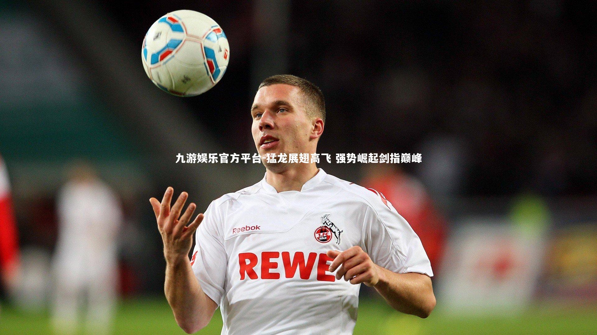 猛龙展翅高飞 强势崛起剑指巅峰